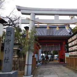 Nishinomiya Shrine - Nishinomiya