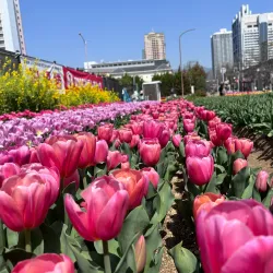 Rokko Island - Nishinomiya