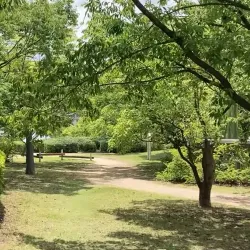 Rokko Island - Nishinomiya