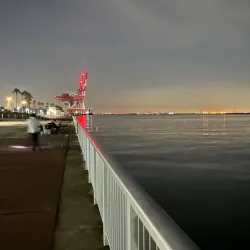 Rokko Island - Nishinomiya