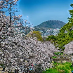 Shukugawa Park - Nishinomiya