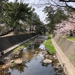 Shukugawa Park - Nishinomiya