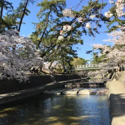 Shukugawa Park - Nishinomiya