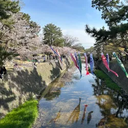 Shukugawa Park - Nishinomiya