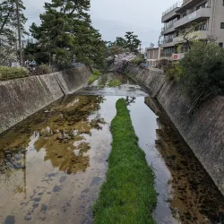 Shukugawa Park - Nishinomiya