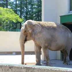 Obihiro Zoo - Obihiro