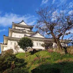 Odawara Castle - Odawara