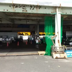 Odawara Fish Market - Odawara