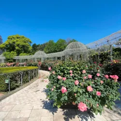 Odawara Flower Garden - Odawara