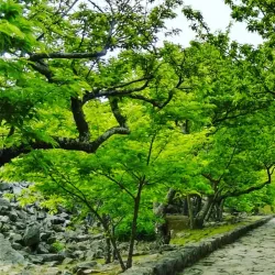 Nakijin Castle Ruins - Okinawa