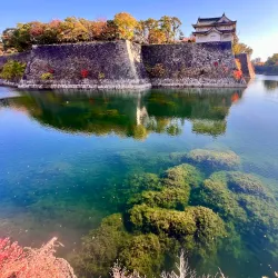 Osaka Castle - Osaka