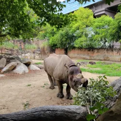 Tennoji Park and Zoo - Osaka