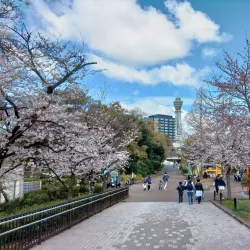 Tennoji Park and Zoo - Osaka