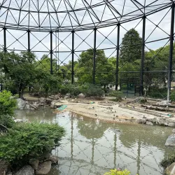 Tennoji Park and Zoo - Osaka