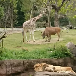 Tennoji Park and Zoo - Osaka