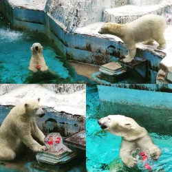 Tennoji Park and Zoo - Osaka