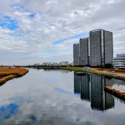 Tamagawa River - Ota