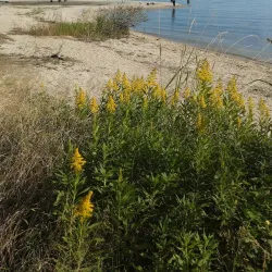 Sakamoto Area - Otsu