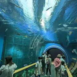 Shiga Prefectural Lake Biwa Museum - Otsu