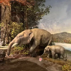 Shiga Prefectural Lake Biwa Museum - Otsu