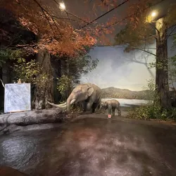 Shiga Prefectural Lake Biwa Museum - Otsu