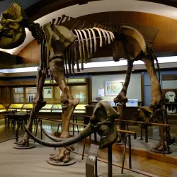 Shiga Prefectural Lake Biwa Museum - Otsu