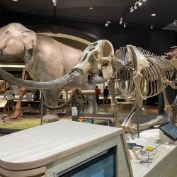 Shiga Prefectural Lake Biwa Museum - Otsu