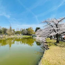 Omiya Park - Saitama