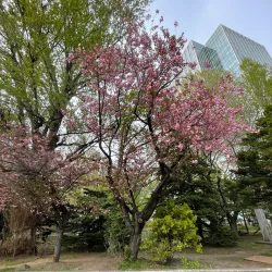 Former Hokkaido Government Office - Sapporo