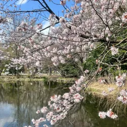 Former Hokkaido Government Office - Sapporo