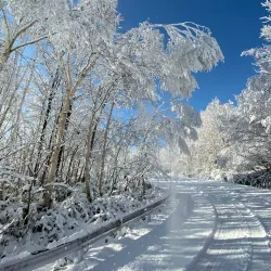 Mount Moiwa - Sapporo