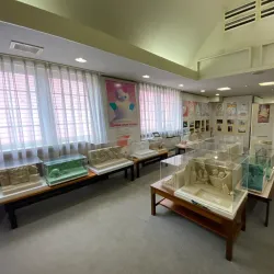 Sapporo Snow Festival - Sapporo