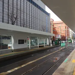 Susukino District - Sapporo