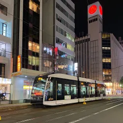 Susukino District - Sapporo