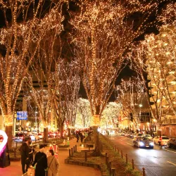 Jozenji-dori Avenue - Sendai