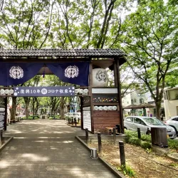 Jozenji-dori Avenue - Sendai