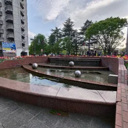 Jozenji-dori Avenue - Sendai