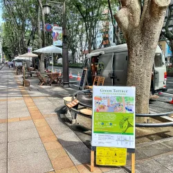 Jozenji-dori Avenue - Sendai