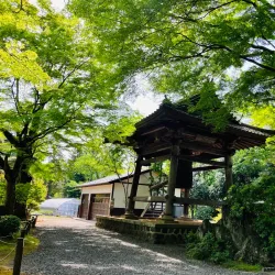 Rinnoji Temple - Sendai