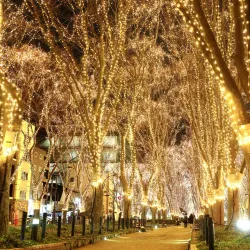 Sendai Mediatheque - Sendai