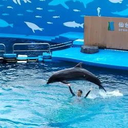 Sendai Uminomori Aquarium - Sendai