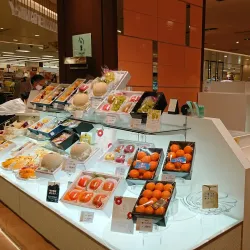 Futako-Tamagawa Rise - Setagaya-ku