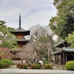 Gotokuji Temple - Setagaya-ku
