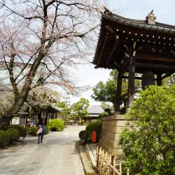 Gotokuji Temple - Setagaya-ku
