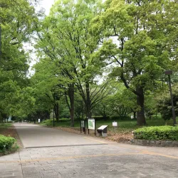 Kinuta Park - Setagaya-ku