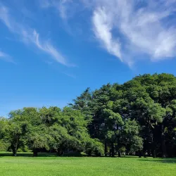 Kinuta Park - Setagaya-ku