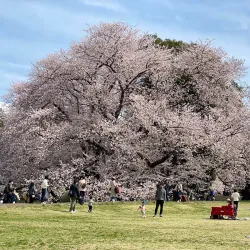 Kinuta Park - Setagaya-ku