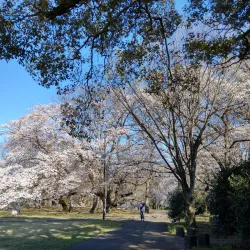 Kinuta Park - Setagaya-ku