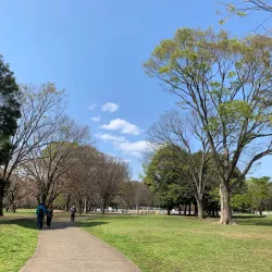 Kinuta Park - Setagaya-ku