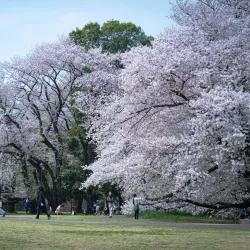 Kinuta Park - Setagaya-ku